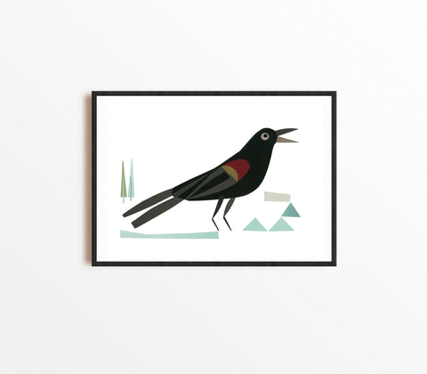 Red-winged Blackbird Art Print