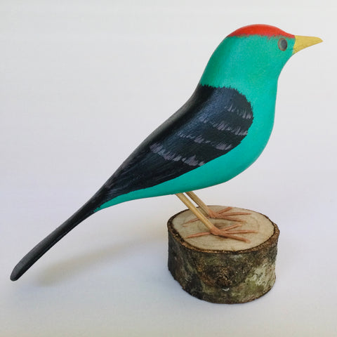Bird Red Crest Turquoise