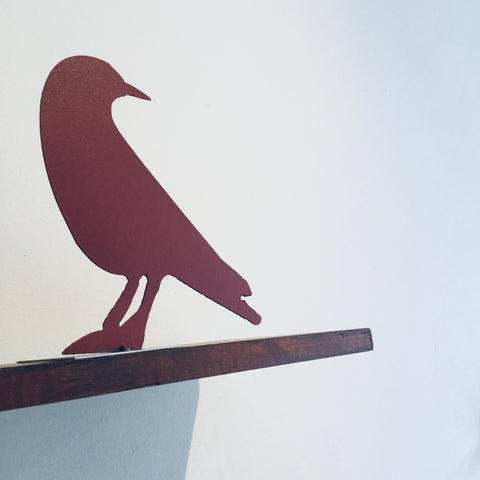 Ontario Red Raven