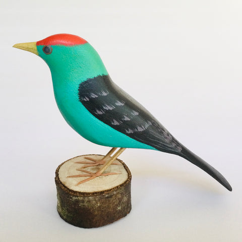 Bird Red Crest Turquoise